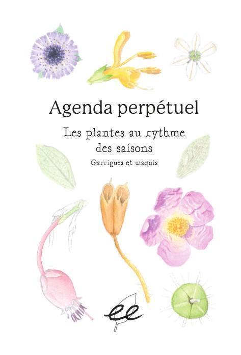 Perpetual Calendar - Plants following the four seasons