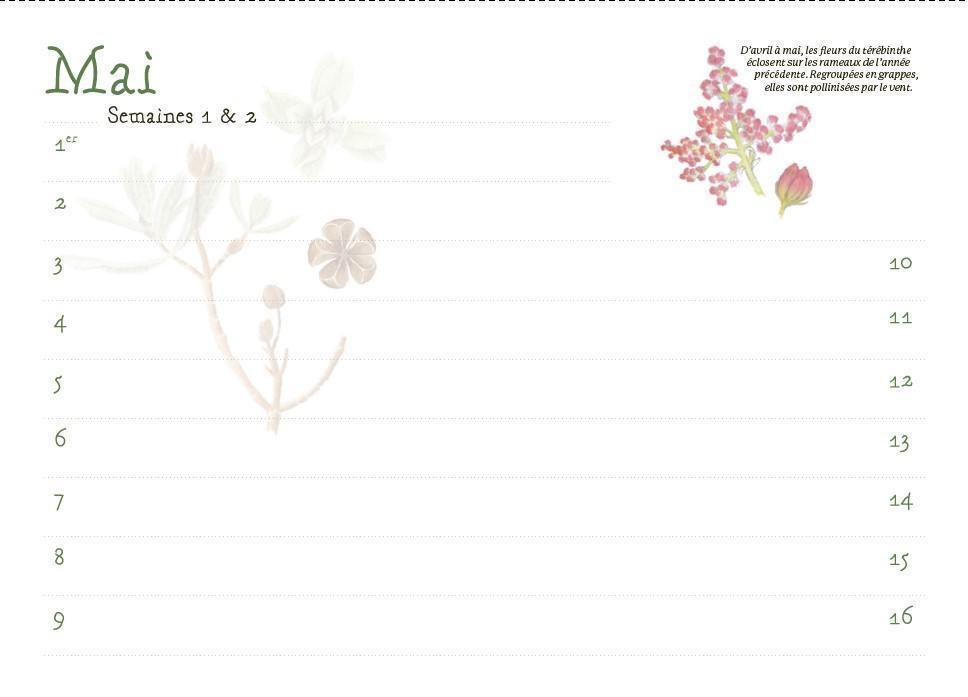 Perpetual Calendar - Plants following the four seasons