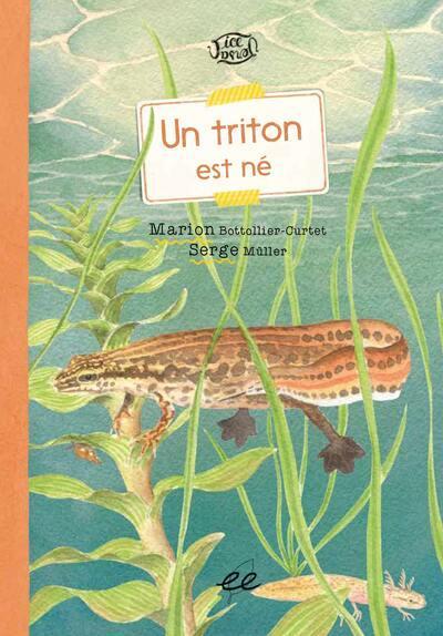 A Newt is Born