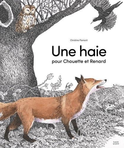 A Hedge For Owl And Fox