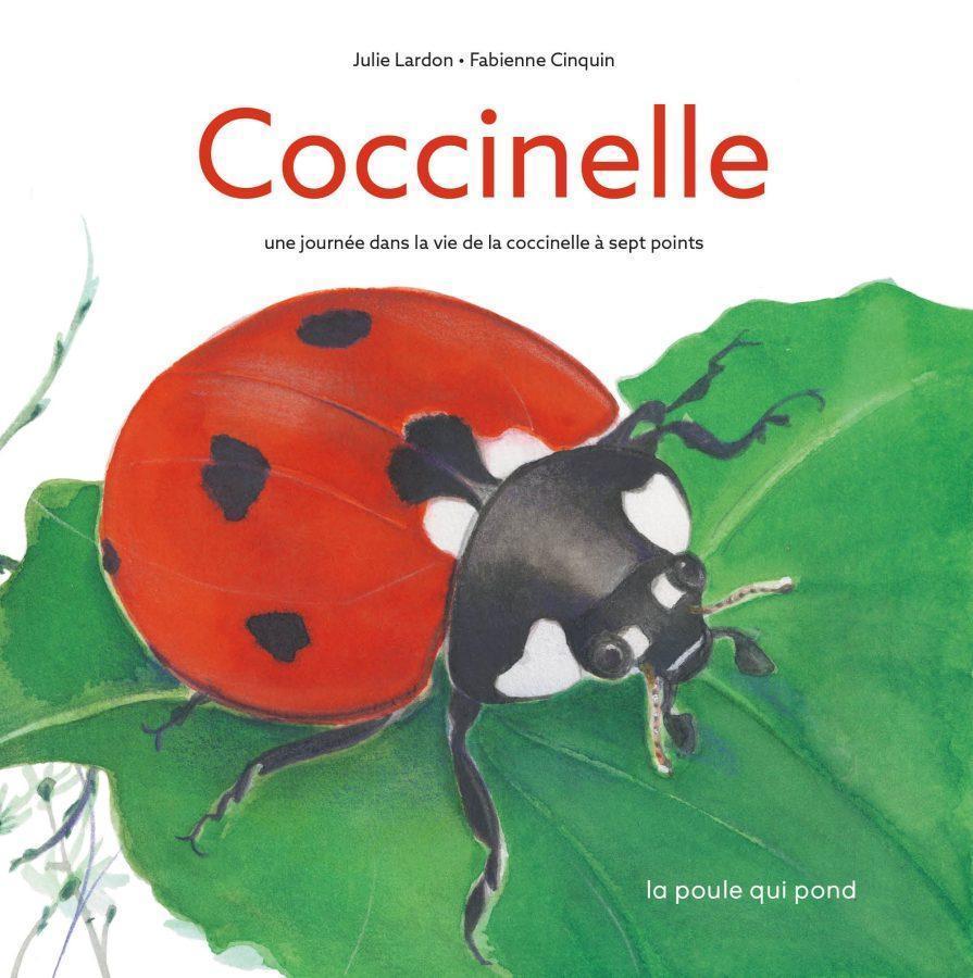 Ladybird